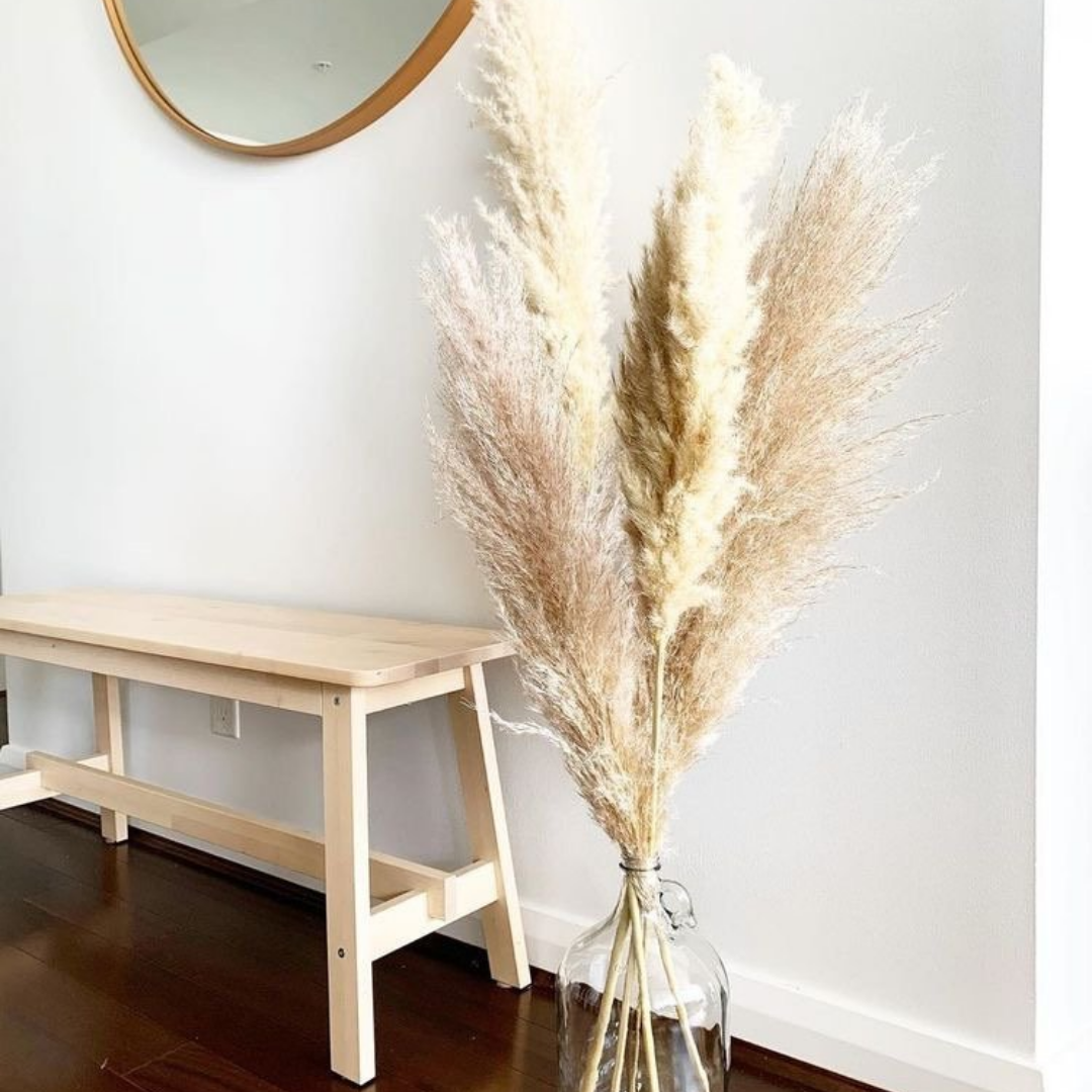 Pampas Grass