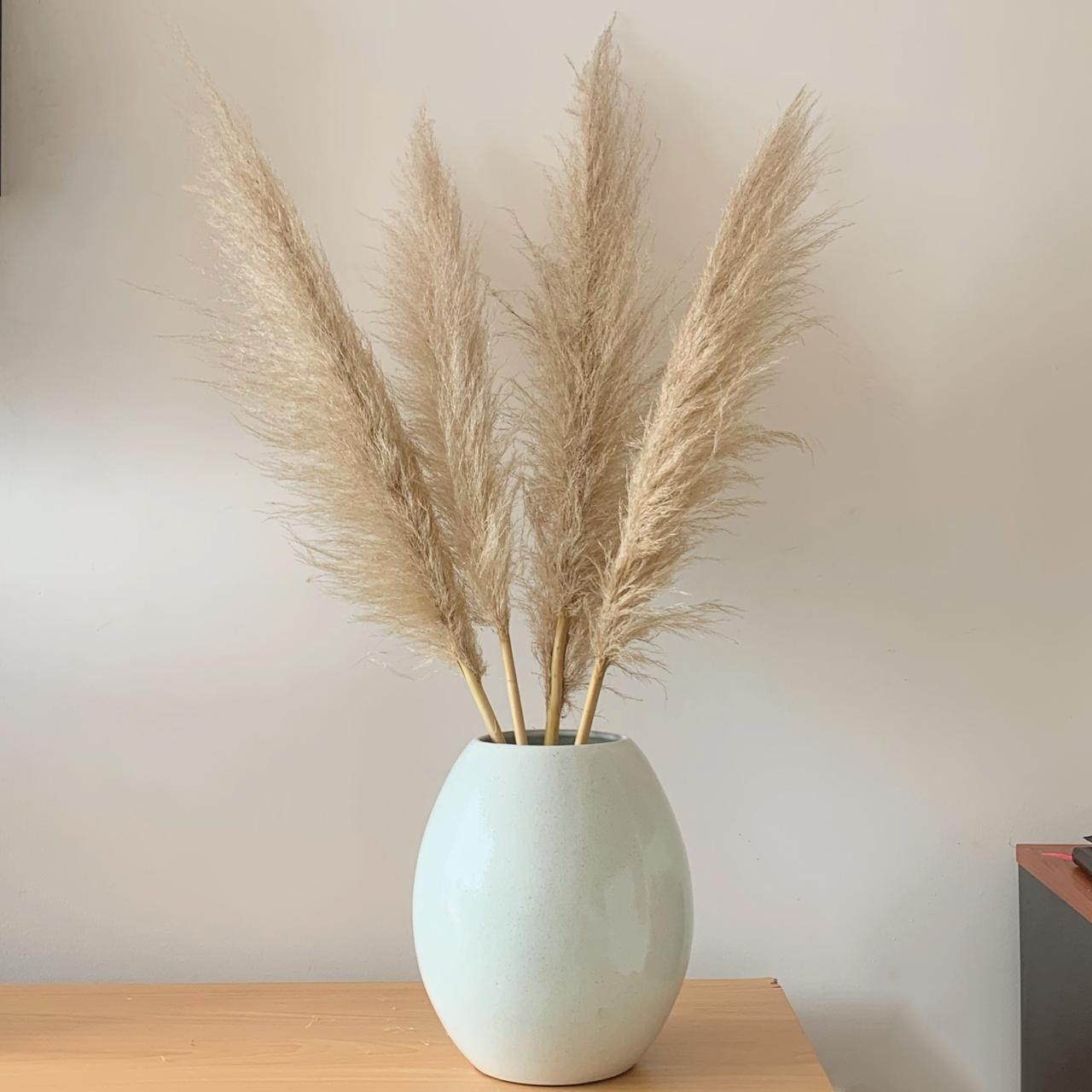 Pampas Secas de Cereal en un Florero para Decorar